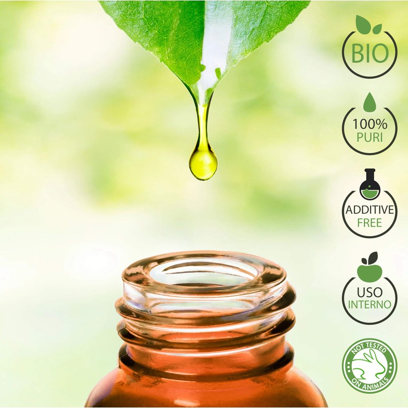 NiaouliÖl Bio Ätherisches Öl 100% Reines 10 ml - Aromatherapie