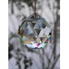 Petrichor Clear Crystal Hanging Ball Feng Shui Prism Sun Catcher