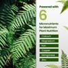 Fern Fertilizer for Greener Growth and Dense, Resilient Fronds, 16oz