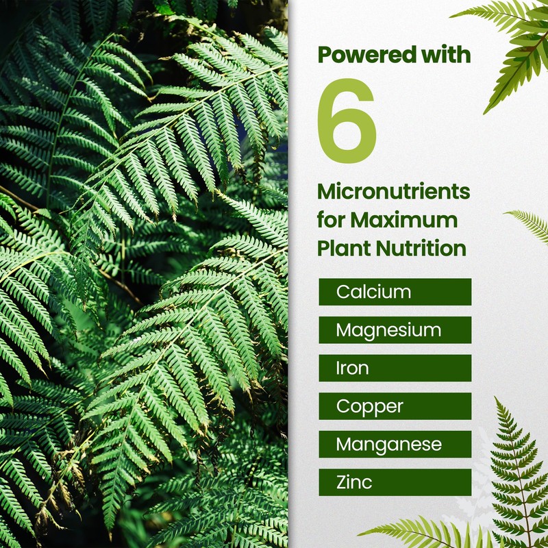 Fern Fertilizer for Greener Growth and Dense, Resilient Fronds, 16oz