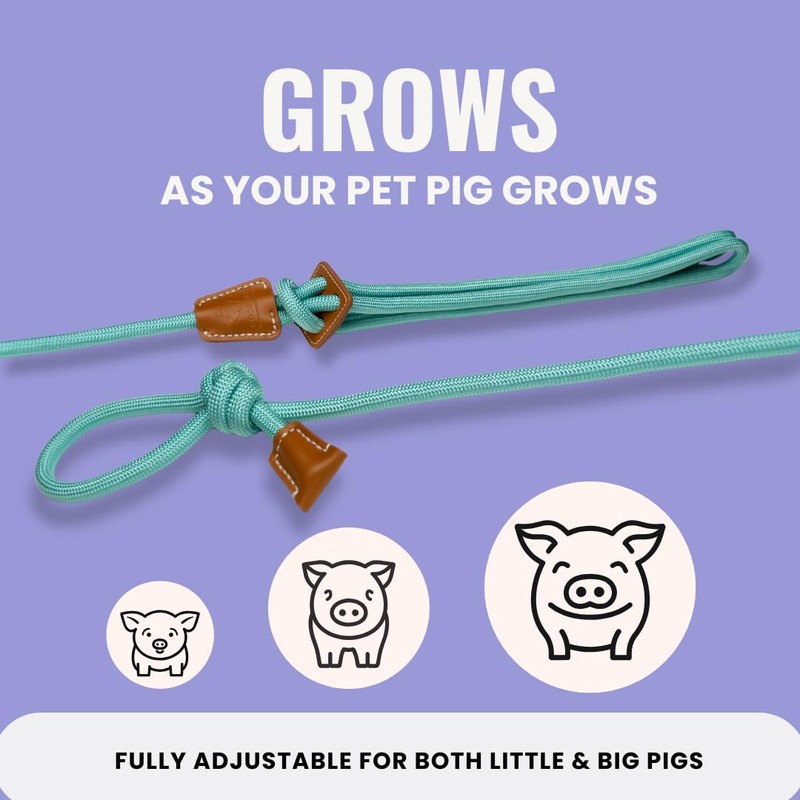 PORCINE® Mini Pig Harness & Leash (S/M) - Fully Adjustable,
