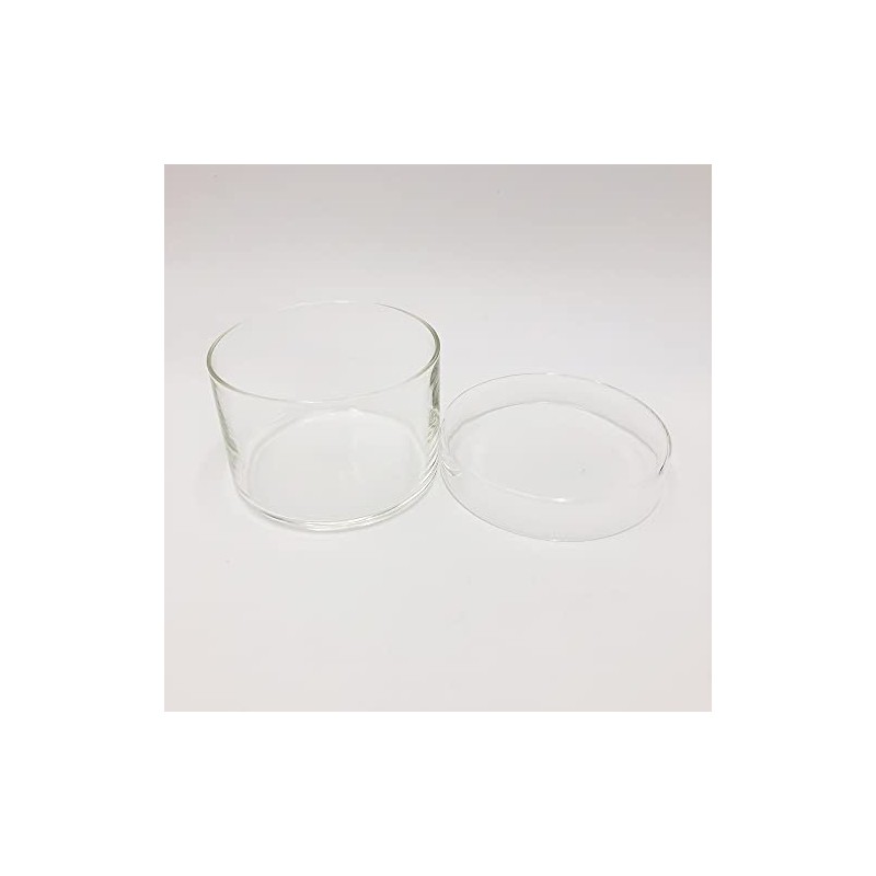 As One Hip High Petri Dish (Yakin), φ3.5 x 2.4