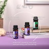 Essences Bulgaria Set Bliss Organic Essential Oils - Rosemary |