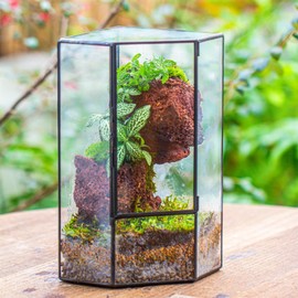 NCYP Front Opening Glass Terrarium with Door for Succulents, Air Plant - Small Closed Geometric Pentagon Planter, Indoor Decor Container, Tabletop Landscape, Black, 5" x 5" x 9.8" (Terrarium Only)