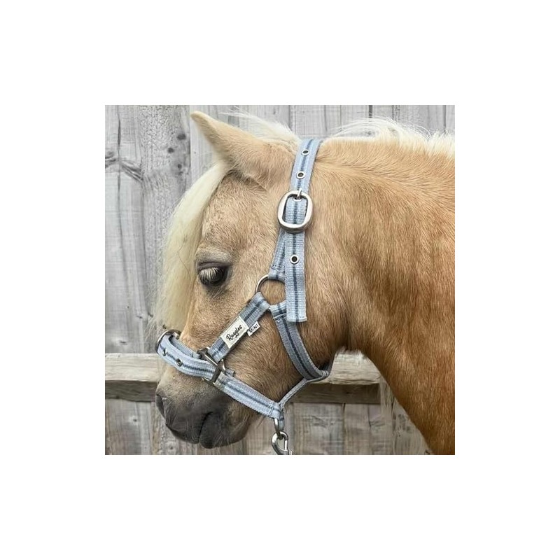 Ruggles Head Collar for Shetland Pony and Miniature Horses |