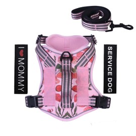 Foxyep Tactical Dog Harness,Working Dog MOLLE Vest with Handle for Small Dogs No Pull Adjustable Pet Harness Reflective Strap with Dog Leash Set(S,Green&Pink Flower)