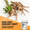 It's Just! - Inulin Prebiotic Fiber, Water Soluble, Chicory Root