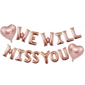 ESHILP We Will Miss You Balloons Banner Set - Farewell Party Decorations Supplies Going Away Party Retirement Party Office Work Party Graduation Decoration(Rose Gold)