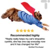 Cystassist, Feline Urinary Tract Supplement, Support for Cats of All