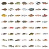 100 Pcs Deep Sea Fish Sticker Pack Funny Fish Stickers