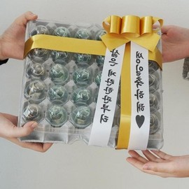 Novelty Egg Carton Cash Gift Box for Events & Pocket Money (Chicken Theme) Birthday Gift Basic Egg Tray - Gold