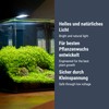 Dennerle Trocal Style Two, 6 Watt LED Lighting for Nano