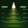 Grow Light Bulbs, Briignite LED Grow Light Bulb A19 Bulb,