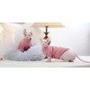 DUOMASUMI Sphynx Cat Vest Autumn Winter Devon Rex Cat Velvet