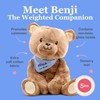 Weighted Anxiety Comfort Animal – 5 lb Brown Bear Calming