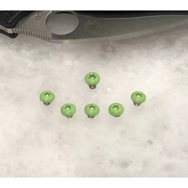 DH Zombie Green Stainless Screws For Spyderco Sage 1 Sage 2 Sage 5 FRN Handle Pivot