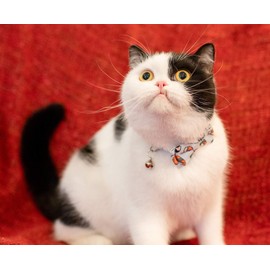 Gyapet Cat Collar Valentine's Day Love Set Pretty Heart Prints Breakaway Bow Tie Safety with Bell Kitten 2pcs Hamburg & Sushi