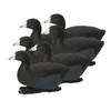 Over-Size Coots (1/2 Dozen)