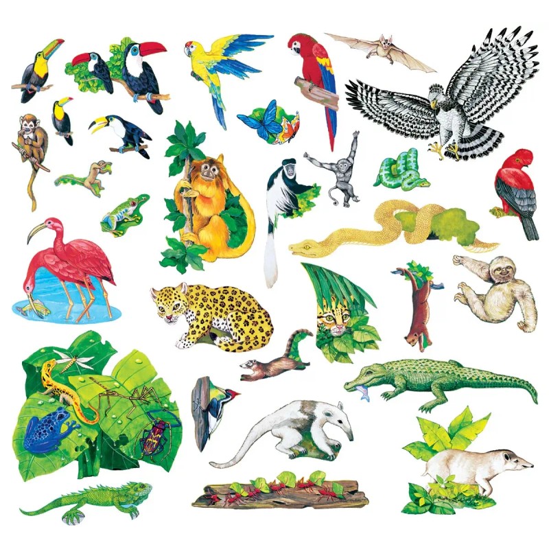 Little Folk Visuals Rain Forest Animals Precut Flannel/Felt Board Figures