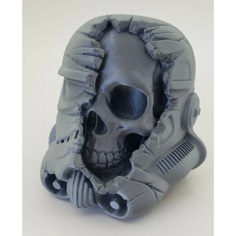 ErnicShop 3D Printed 5" Deathtrooper Stormtrooper Skull Bust Model Silver