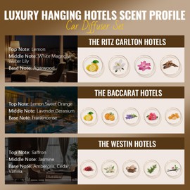 Aeshory Car Air Freshener Hanging - 3-Pack, Car fresheners long lasting up to 60 Days, Car Air Freshener for Women and Men, Premium Car Aromatherapy Essential Oil Diffuser Gift Set（ Hotel Series）