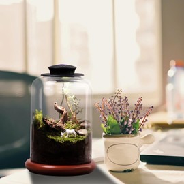 Adjustable Grow Light - Plant Growing Lamp Adjustable LED Lighting 3W,Multifunctional Plant Lamp, Moss Bottle Lamp for Succulent, Moss, Miniature Gardening Landscape