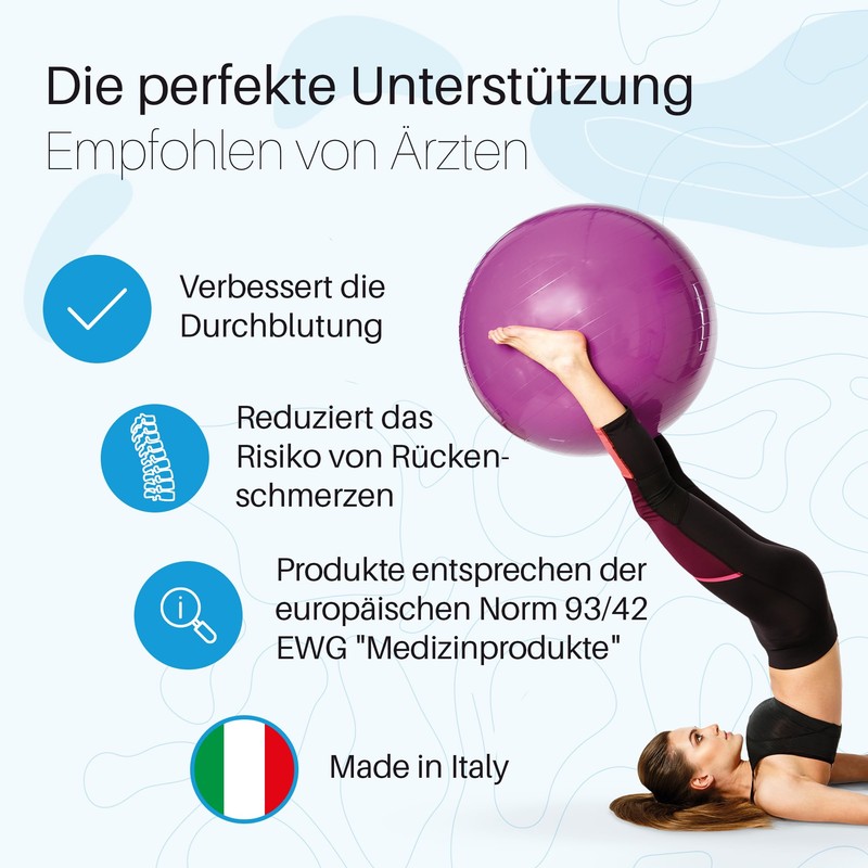 Pezziball Standard Exercise Ball