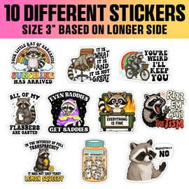 VOTANTA (10 Pcs, 3 inch) - Funny Raccoon Stickers Pack, Rizz Em with The Tism Sticker, It Is What It Is Decals, Sarcastic Humor Quotes Decal Raccoon Lover Gifts Decoration for Laptops, Phones, Bottles