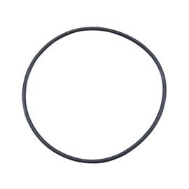 Yukon Gear & Axle (YMS248) O-Ring for Ford 9 Differential