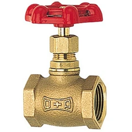 Kitz Globe Valve Type 100 3/4 Q20A