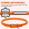 Dogline Leather Collar