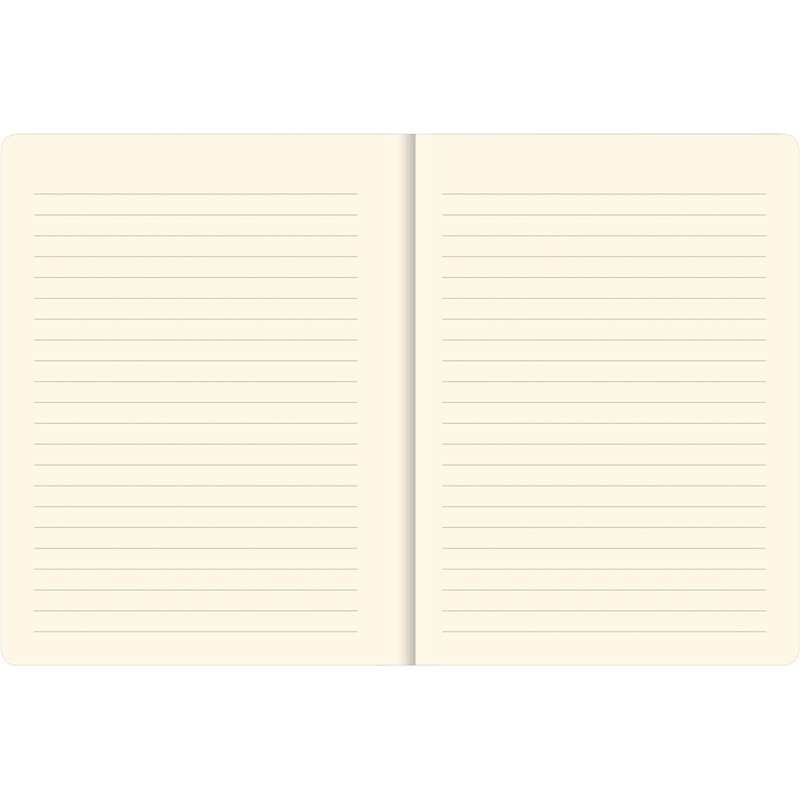 Peter Pauper Press Mystic Moon Journal (Diary, Notebook)