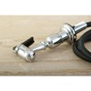 Kingston Brass Gourmetier KBSPR1 Kitchen Faucet Sprayer with Hose, Polished