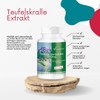 Devil's Claw Extract Capsules 1530 mg - 180 Vegan High