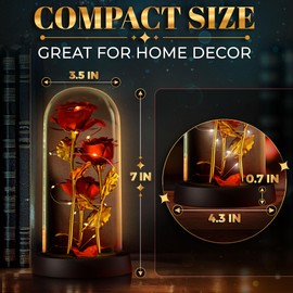 Rose in Glass Dome – Beautiful Glass Rose Flower Lights, for Women, Gifts for Mom, Valentine's Day, Mother's Day, Women's Day – Elegant Home Decor | Flowers Roses with LED Light