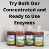 Kleen Free Naturally Preformed Enzyme Cleaner, Enzyme Solution, Multi-Purpose Cleaner,