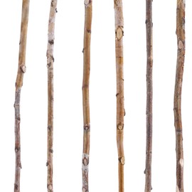 Yousoontic 6 Pcs Birch Pole Assortment 3ft Natural Wood Sticks Twigs for Crafts Branches for Home Decoration Holiday DIY Supply for Creative Projects