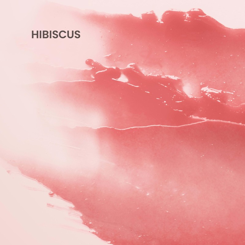 Burt's Bees Lip Tint Balm for Valentine's Day, with Long