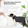 PUMYPOREITY Dog Medical Suit, Dog Recovery Suit Male Surgery Dog