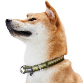 Blueberry Pet Multi-Colored Stripe Adjustable Dog Collar, Olive, X-Large, Neck 18"-26"