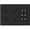 RiteAV 2 Speaker 4 Banana Binding Post Wall Plate with