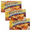 Alpine SPICED CIDER Sugar-Free Apple Flavored Drink Mix 1.4oz 10