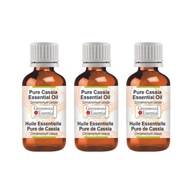 Greenwood Essential Pure Cassia Essential Oil (Cinnamomum Cassia) Natural Therapeutic Quality Steam Distilled (Pack of Three) 100 ml x 3 (10 oz)