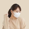 グディナ 快適立体マスク３０枚 Ｗ マスク