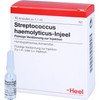 Streptococcus Haemolyticus Injeel Liquid Dilution Pack of 10 Ampoules