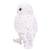 Nemesis Now Snowy Watch Large 20cm, Resin, White, One Size