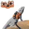 3 Pack Bearded Dragon Harness and Leash Set - Adjustable