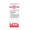 DHU Paloondo D6 Spreading Balls 10g Globules