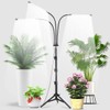GHodec Grow Light with Stand, 60 LED 5500K Full Spectrum