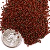 Pisces Pros Betta Bites Fish Food (1 oz)